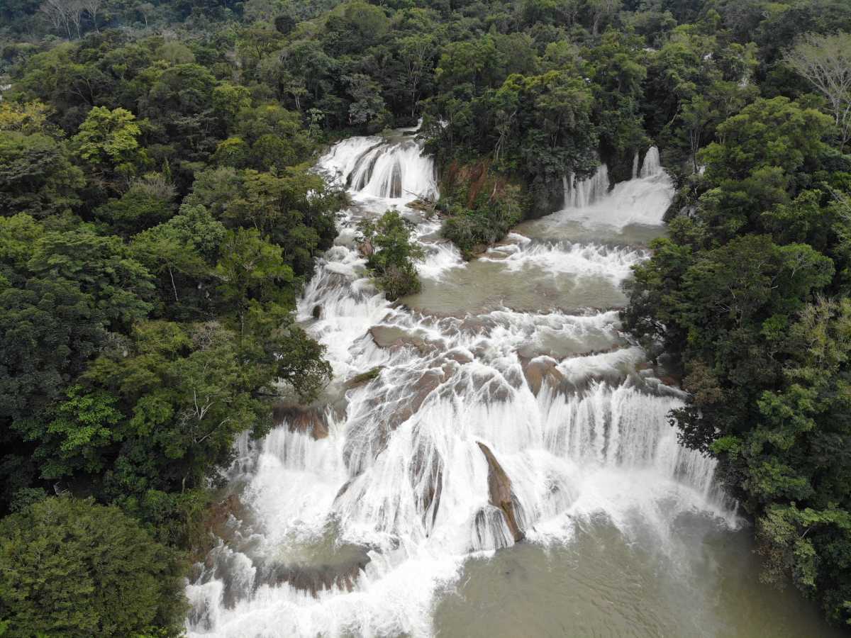 Palenque: džungle, vodopády a opice&nbsp;🇲🇽