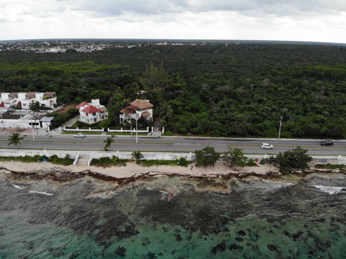 Cozumel a mezoamerický korálový útes&nbsp;🇲🇽