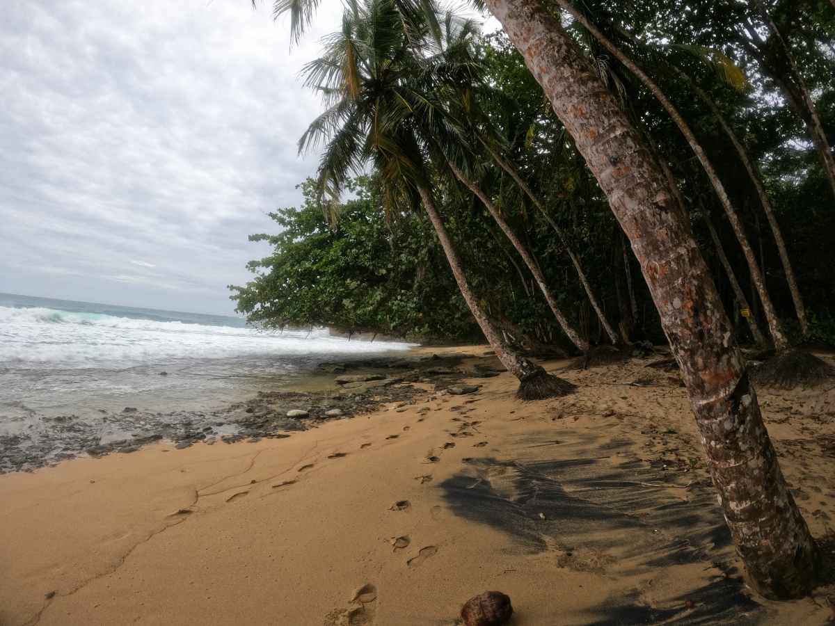 Puerto Viejo: hippies ráj&nbsp;🇨🇷