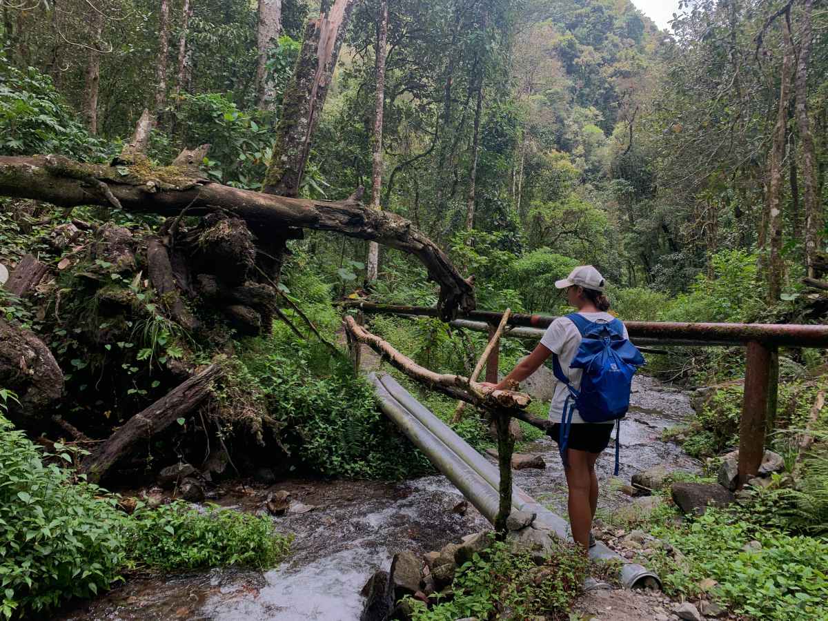 Boquete: hurá do džungle&nbsp;🇵🇦