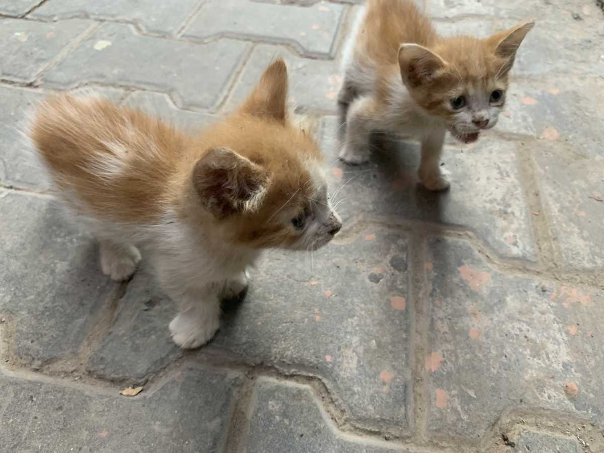 První pomoc na cestách&nbsp;💊