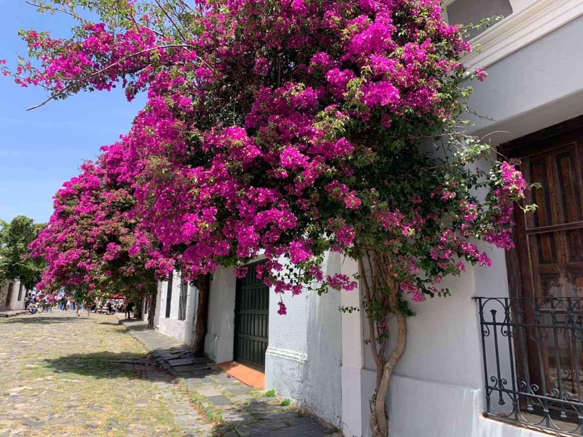 Colonia del Sacramento na jeden den&nbsp;🇺🇾