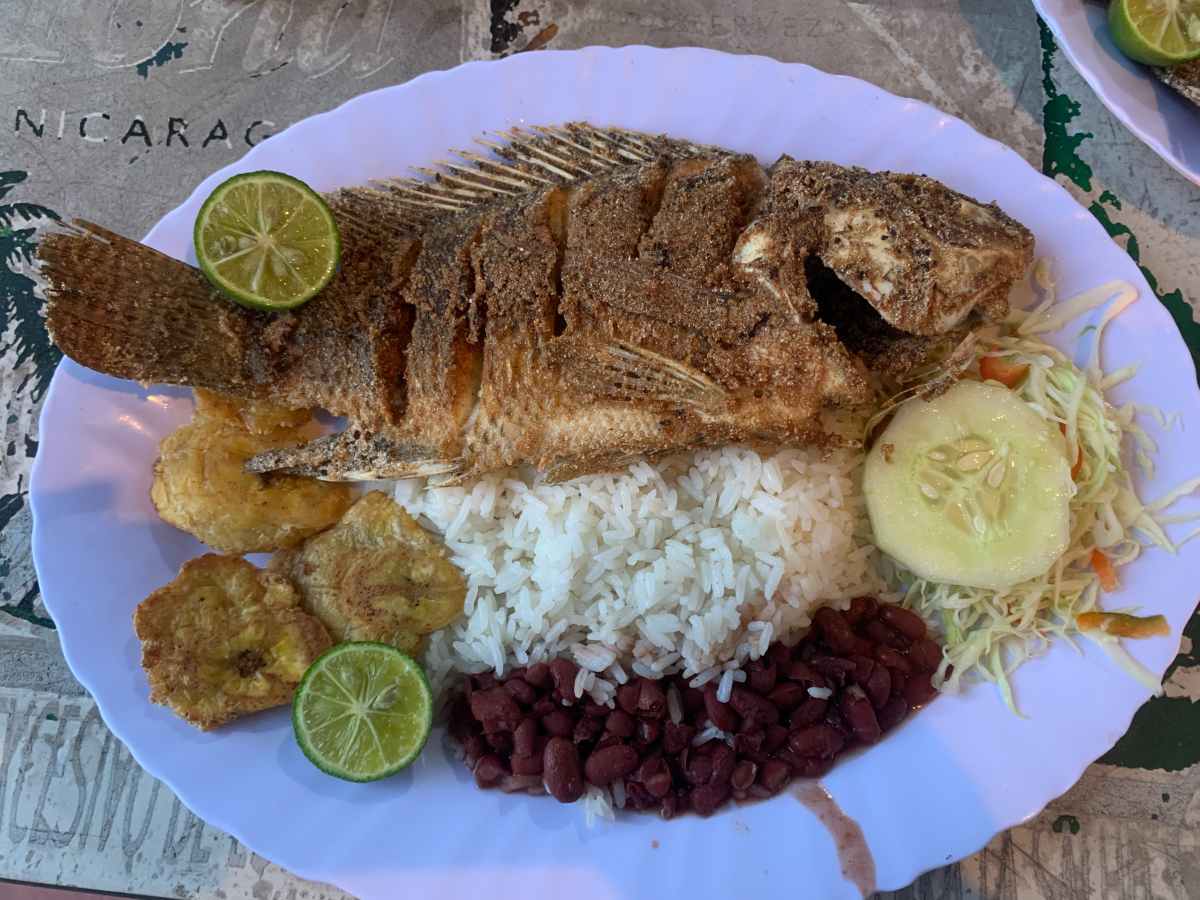 Stravování na cestách&nbsp;🌮