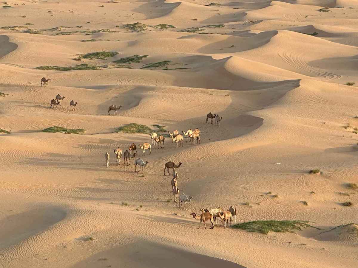 Let balónem nad dunami&nbsp;🇦🇪