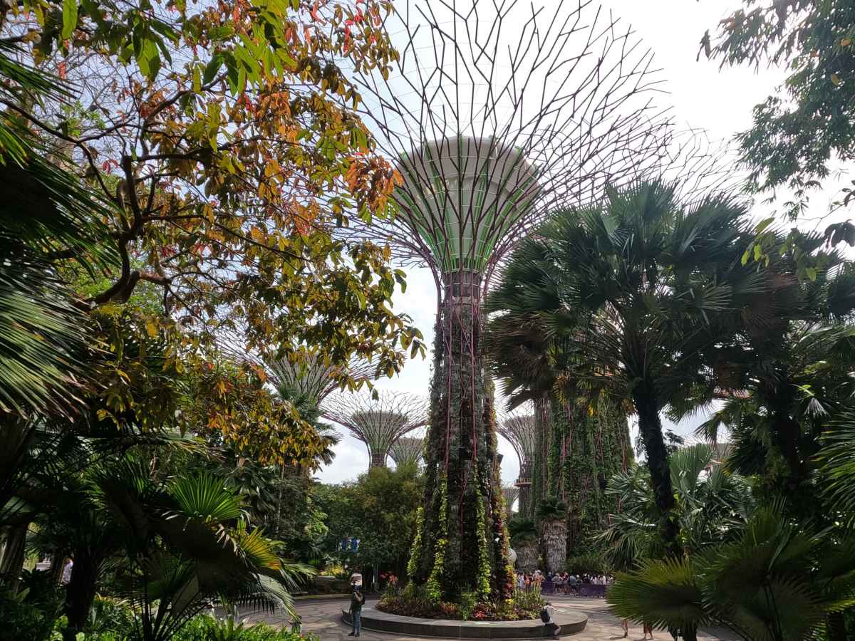 Singapur: Gardens by the Bay&nbsp;🇸🇬