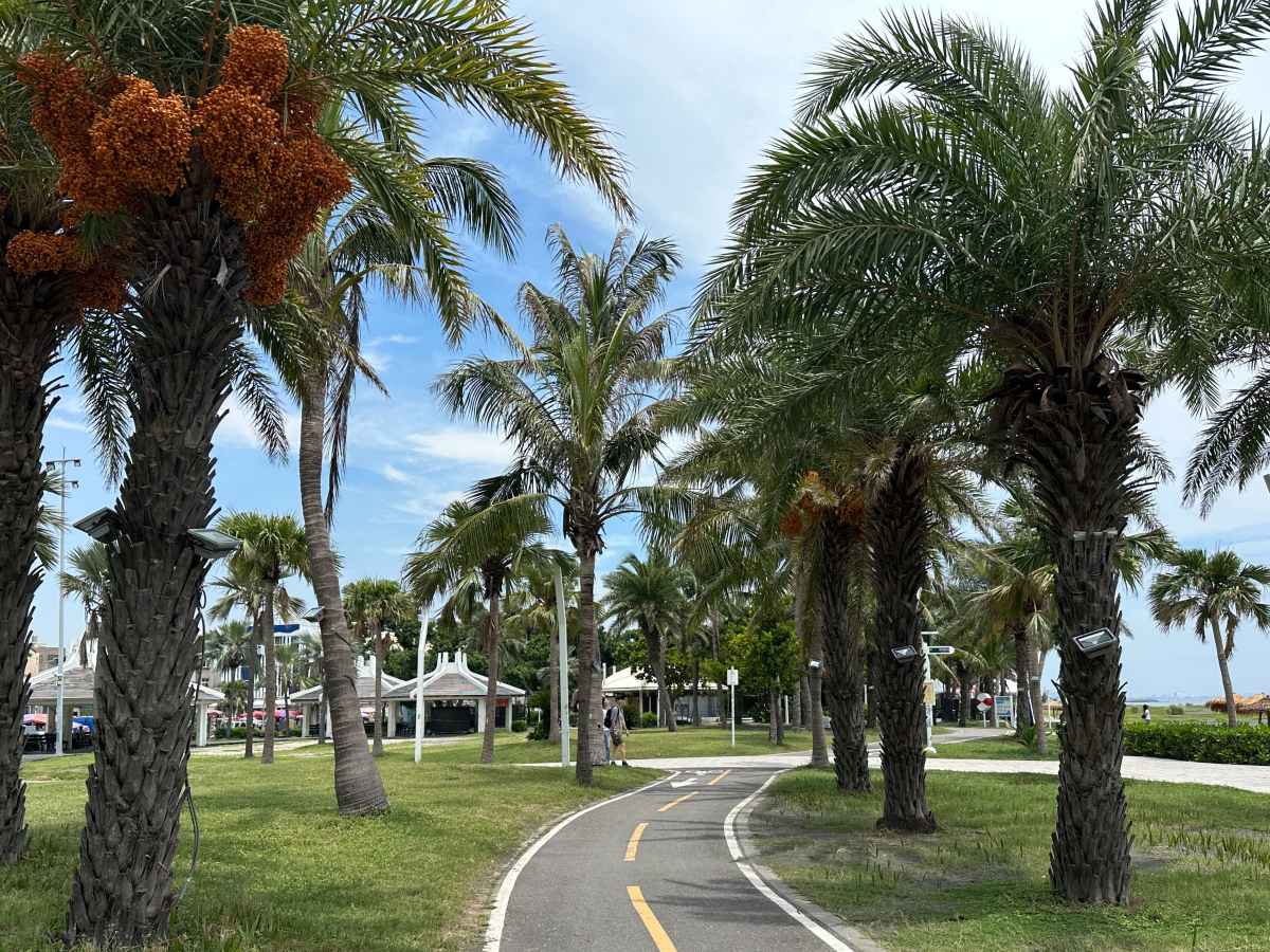 Kaohsiung: pláže, jídlo a relax&nbsp;🇹🇼